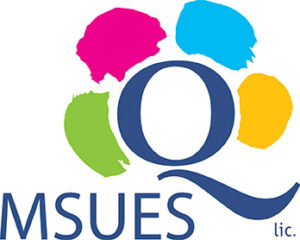 Małopolskie Standardy Usług Edukacyjno-Szkoleniowych